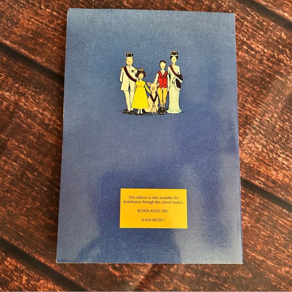 📚 Short Chapter Book Bundle (4) - Picture 7 of 13